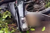 Nam thanh niên 18 tuổi lên Đắk Lắk học nghề bị cây ngã đè đã qua đời