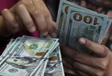Tỷ giá USD tuần 17-21/8: 'Lệch pha' mạnh giữa các thị trường