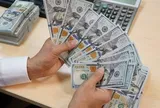 Tỷ giá hôm nay 25/8: USD đồng loạt tăng mạnh, thị trường tự do áp sát 26.000 đồng