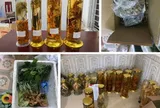 ‘Quốc bảo’ quá đắt đỏ, người phụ nữ nảy lòng tham nhập một loại củ có hình dáng tương đồng để lừa người dùng trên livestream TikTok