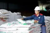 Hàn Quốc, Philippines tăng mua giá cao, xuất khẩu phân bón sắp lập kỷ lục