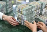 Ngân hàng đa dạng hóa nguồn thu, tạo dư địa tăng trưởng bền vững