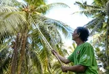 AIG tiếp tục phát triển hệ sinh thái bền vững từ vùng nguyên liệu đến cộng đồng