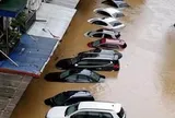 Sắp đấu giá lô xe ô tô bị ngập nước qua nóc, giá từ 2,02 tỷ đồng