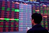 Cơ hội hiếm có trong nhiều năm sắp xuất hiện trên TTCK