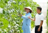 BIDV tiếp dòng tài chính, cùng khách hàng tiếp nối thành tựu