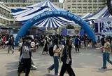 Sinh viên vừa tốt nghiệp đã được săn đón, nhiều nơi trả lương trên 20 triệu đồng/tháng