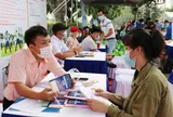 Người lao động thử việc tại công ty cẩn thận bị xử lý kỷ luật nếu hợp đồng có điều khoản này