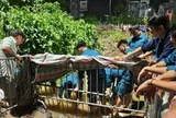 Chủ tịch Hà Nội truy trách nhiệm sau vụ nam sinh ngã xuống cống tử vong