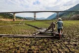 El Nino đã đạt ngưỡng rất mạnh và còn tiếp tục mạnh lên, dự báo thời tiết cực đoan