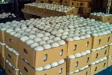 Người Mỹ đang 'mê' loại quả bán đầy vỉa hè Việt Nam hơn cả xoài và thanh long, một tháng chi 105 triệu USD nhập khẩu