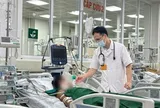 Bác sĩ cảnh báo không chủ quan với vết thương do tre, gỗ, gai đâm