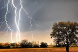 Đang đi đường, cô gái 33 tuổi bị sét đánh