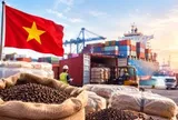 Một mặt hàng VN phải nhập khẩu cực nhiều dù xuất khẩu top đầu thế giới, phủ sóng hơn 125 quốc gia