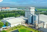 Baf Việt Nam thâu tóm một doanh nghiệp chăn nuôi tại Gia Lai
