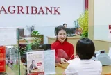 Lãi suất ngân hàng 1/10 tại VPBank, MB, Techcombank, Sacombank, HDBank, Agribank, Vietcombank, BIDV, VietinBank,...