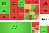 VN-Index "rơi tự do", nhóm bất động sản gây áp lực