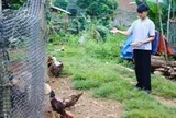 Mồ côi vì lũ cuốn mẹ 4km, tân SV dân tộc Thái về học thủ đô, chưa quen thang máy đã đi làm thêm