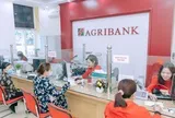 Lãi suất ngân hàng 3/10 tại Agribank, Vietcombank, BIDV, VietinBank, VPBank, MB, Techcombank, Sacombank, HDBank,...