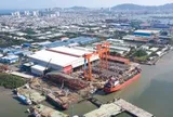 Cận cảnh "lá dừa nước" khổng lồ của cầu đi bộ qua sông Sài Gòn