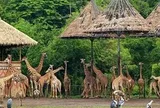 Sở Tài chính Hà Nội nói về dự án Safari Ba Vì