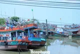 Nhiều thiếu sót về chống khai thác thủy sản bất hợp pháp tại Vĩnh Long