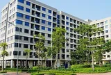 Một doanh nghiệp được giao hơn 2.400m2 đất để làm dự án nhà ở xã hội Liên Hà
