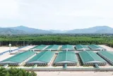 Bán 78 triệu con mỗi năm, tập đoàn chăn nuôi lợn lớn nhất thế giới đến từ Trung Quốc vừa rót 3.600 tỷ vào Gia Lai xây trang trại
