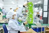 Ngày Doanh nhân Việt Nam 13-10: Tính toán giảm thủ tục, hỗ trợ voucher cho doanh nghiệp