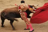 Cơn bĩ cực của cổ đông FPT: 3 tuần không thấy màu "xanh", cổ phiếu rơi xuống vùng đáy 3 năm