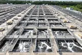 Việt Nam có một công trình đặc biệt: Mỗi ngày xử lý quả "bom nước" tương đương hàng trăm bể bơi lớn