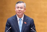"Doanh nghiệp một người" không bắt buộc phải có Chủ tịch, Kế toán trưởng