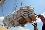 Việt Nam trúng thầu 10.000 tấn gạo tấm hạt dài tại quốc gia vốn chỉ ưa dùng loại gạo hạt tròn