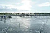 Chàng trai Cà Mau đưa 'cuốn sổ cân tôm' lên điện thoại