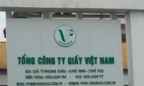 Quyết định thanh tra tại Tổng công ty Giấy Việt Nam