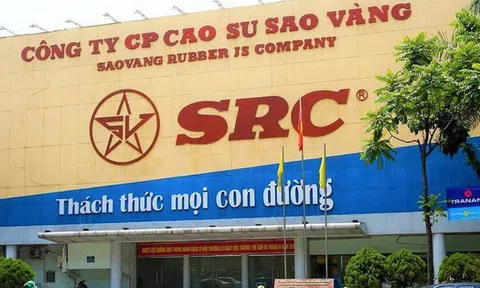 Cao su Sao Vàng bị phạt và truy thu thuế 1,3 tỷ đồng