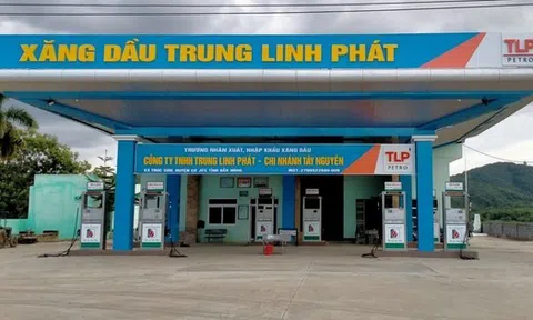 Một doanh nghiệp xăng dầu bị tước giấy phép