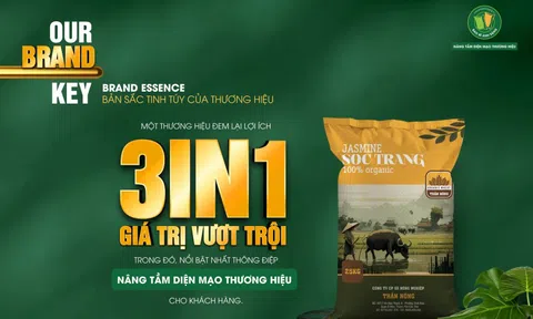 Giải pháp bao bì 3IN1 giúp nâng tầm diện mạo thương hiệu