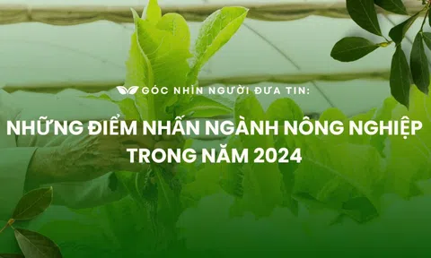 Góc nhìn Người Đưa Tin: Những điểm nhấn ngành nông nghiệp trong năm 2024