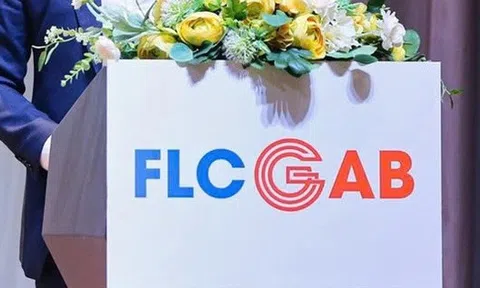 FLC Gab thay Tổng Giám đốc mới