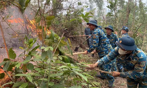 Quảng Ninh: Xuyên đêm chữa cháy rừng ở Bãi Cháy