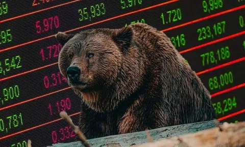 Kịch bản "Bear Market" có thể chi phối thị trường chứng khoán trong năm 2025, nhà đầu tư nên hành động ra sao?