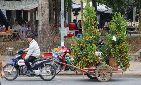 Kiếm tiền triệu mỗi ngày dịp cận Tết, hàng loạt xe ôm 'bỏ khách'