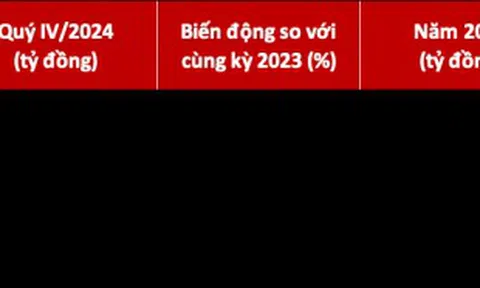 DNSE đạt doanh thu 829 tỷ đồng năm 2024