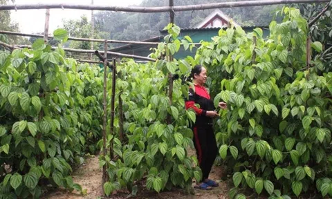 'Đếm lá ra tiền triệu', làng nghề truyền thống bội thu dịp Tết