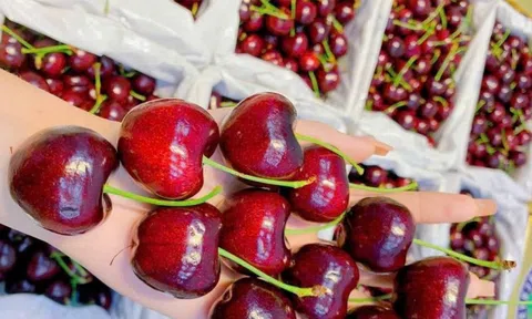 Cherry đắt đỏ vẫn ‘cháy hàng’, bất ngờ với 'sầu riêng giải cứu' 50.000 đồng/kg