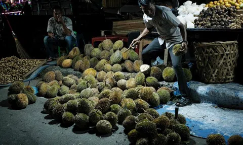 Trước khi bị Trung Quốc trả về 60 tấn sầu riêng nhiễm hoá chất, Thái Lan đã "hụt hơi" thế nào tại thị trường tỷ dân: xuất khẩu giảm, "dâng" thị phần vào tay Việt Nam