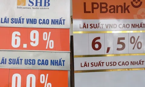 Lãi suất ngân hàng hôm nay 11/2/2025: Gửi 12 tháng ở đâu nhận lãi cao nhất 6,3%?