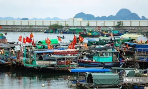 Siết chặt xử lý vi phạm hành chính trong khai thác thủy sản