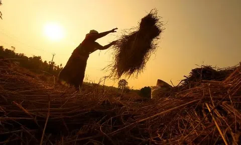 Mặt hàng chủ lực của Việt Nam đang được Ukraine mạnh tay săn lùng: Xuất khẩu tăng nóng hơn 1.300%, 150 quốc gia đang chốt đơn